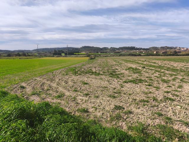 Terreno, Sant Joan