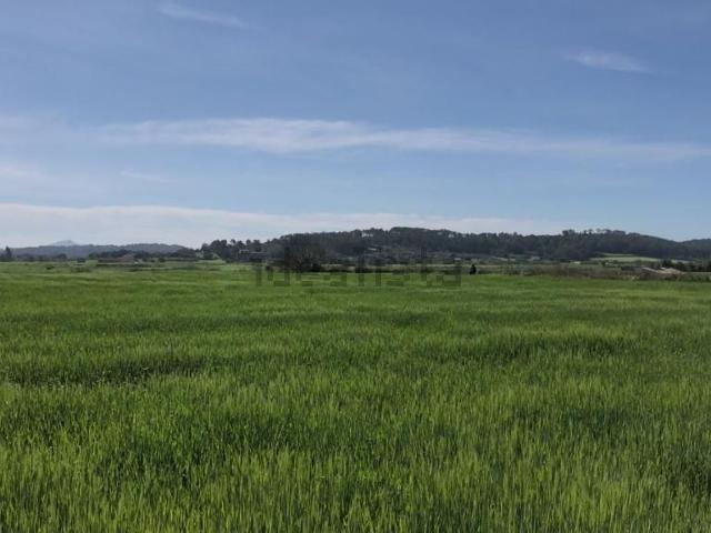 Terreno, Sant Joan