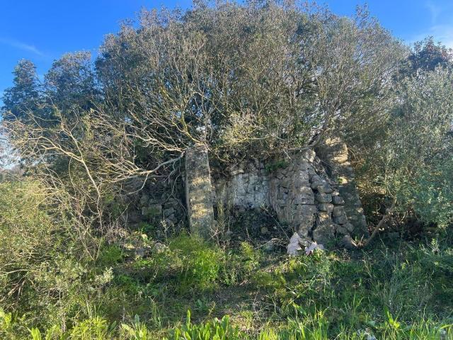 Terreno, Sant Joan