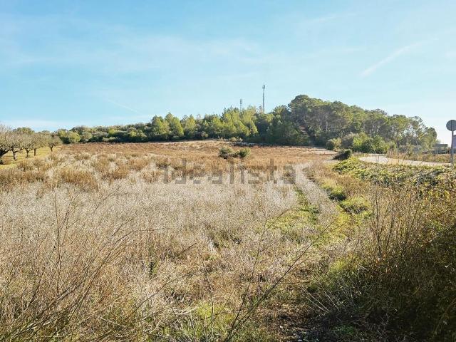 Terreno, Sant Joan