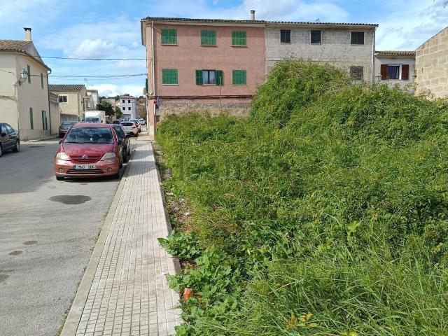 Terreno, Sant Joan