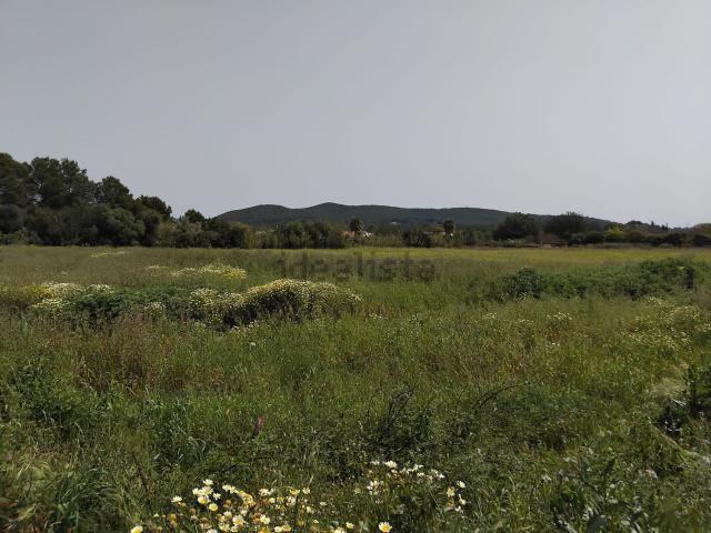 Terreno, Sant Joan de Labritja
