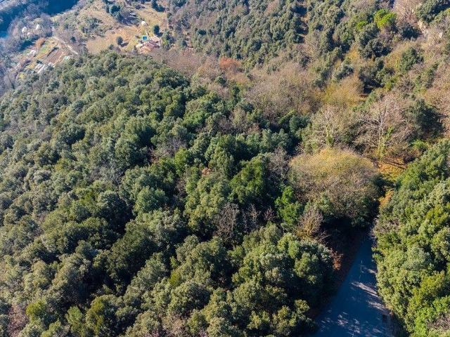Terreno, Sant Joan les Fonts