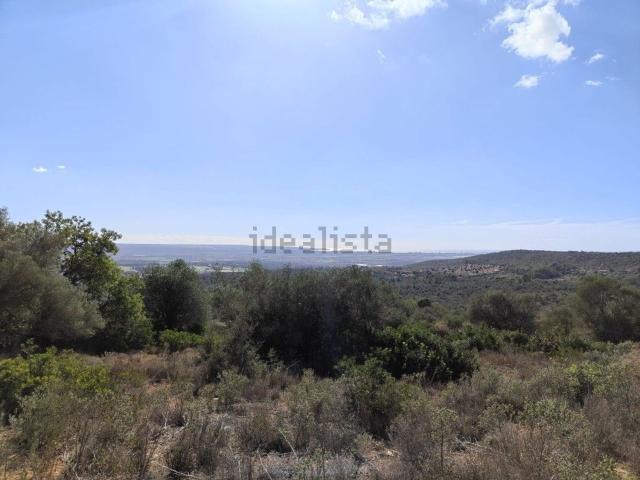Terreno, Sant Jordi, Palma de Mallorca