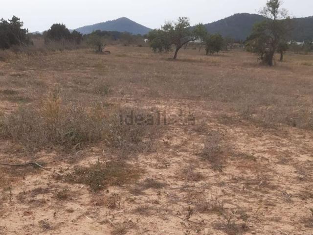 Terreno, Sant Josep de Sa Talaia