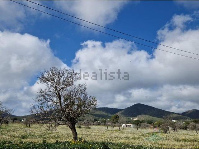 Terreno, Sant Josep de Sa Talaia