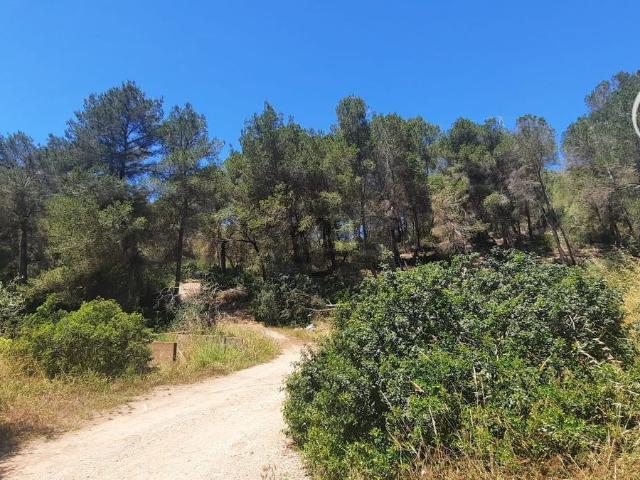 Terreno, Sant Josep de Sa Talaia