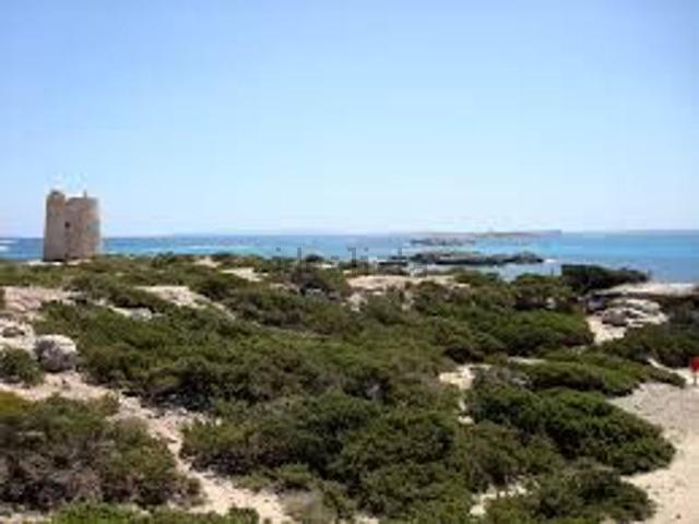Terreno, Sant Josep de Sa Talaia