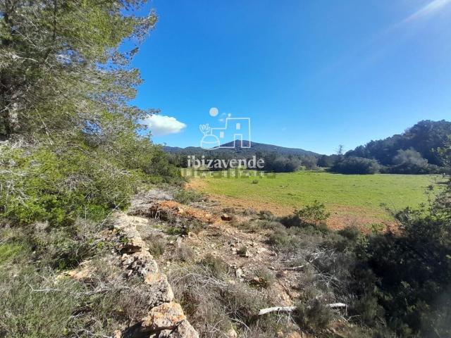 Terreno, Sant Josep de Sa Talaia