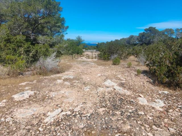 Terreno, Sant Josep de Sa Talaia