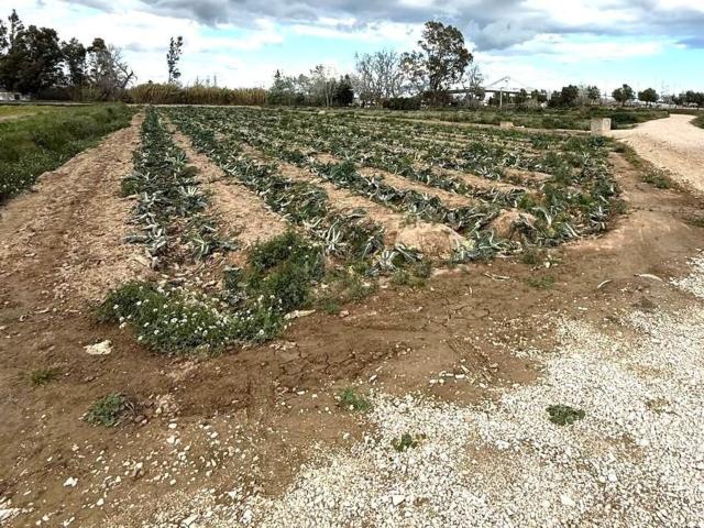 Terreno, Sant Jaume d&apos Enveja