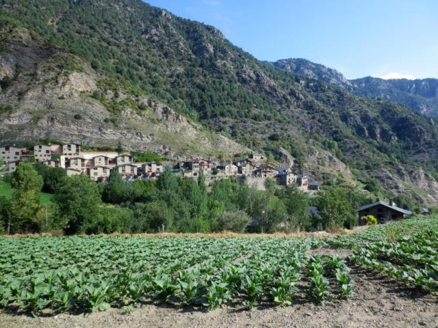 Terreno, Sant Julia de Loria
