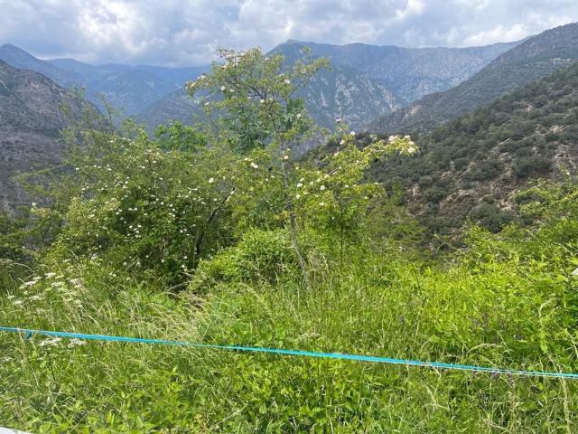 Terreno, Sant Julia de Loria