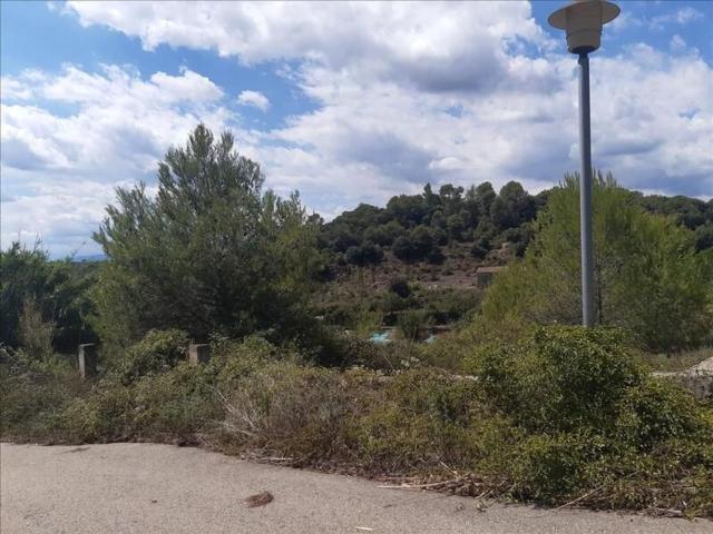 Terreno, Sant Julià de Ramis