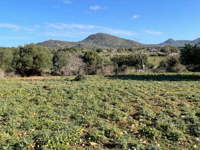 Terreno, Sant Llorenç Des Cardassar