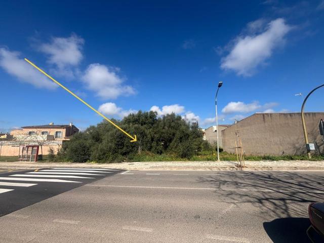 Terreno, Sant Llorenç Des Cardassar