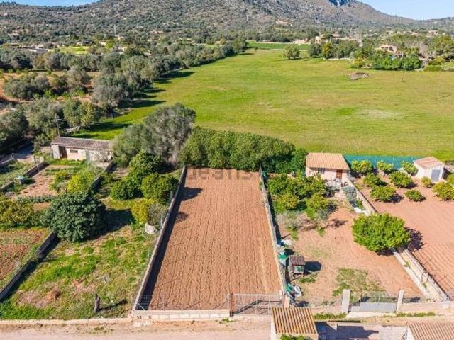 Terreno, Sant Llorenç Des Cardassar
