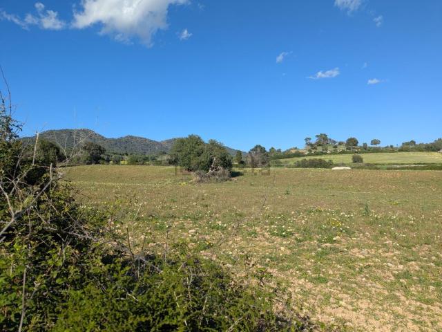 Terreno, Sant Llorenç Des Cardassar