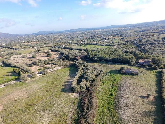 Terreno, Sant Llorenç Des Cardassar