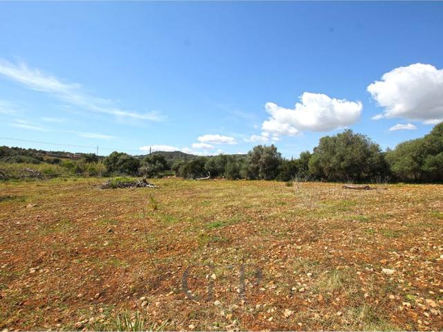 Terreno, Sant Llorenç Des Cardassar