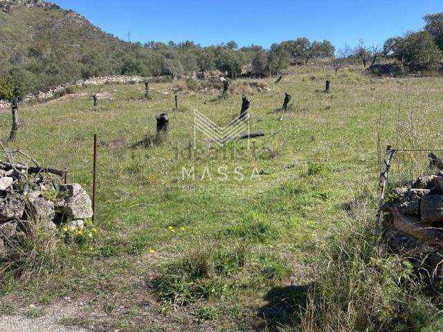 Terreno, Sant Llorenç Des Cardassar