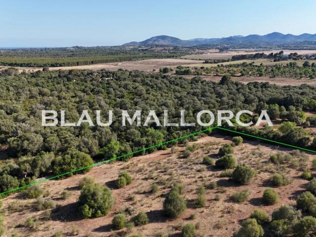 Terreno, Sant Llorenç Des Cardassar