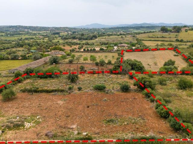 Terreno, Sant Llorenç Des Cardassar