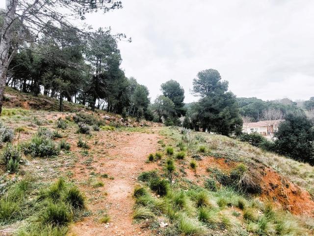 Terreno, Sant Llorenç Savall