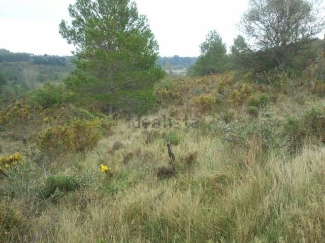 Terreno, Sant Mateu