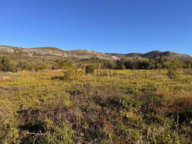 Terreno, Sant Mateu