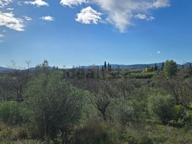 Terreno, Sant Mateu
