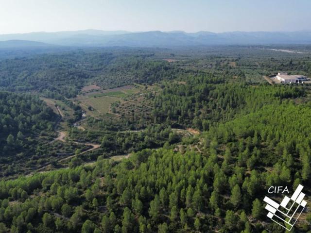 Terreno, Sant Mateu