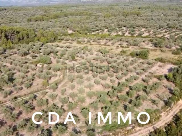 Terreno, Sant Mateu