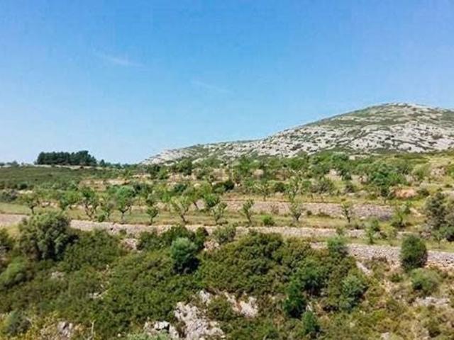 Terreno, Sant Mateu