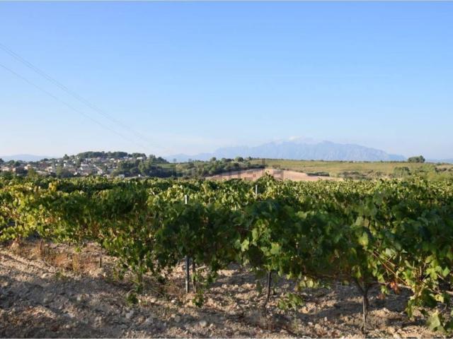 Terreno, Sant Sadurní d&apos Anoia