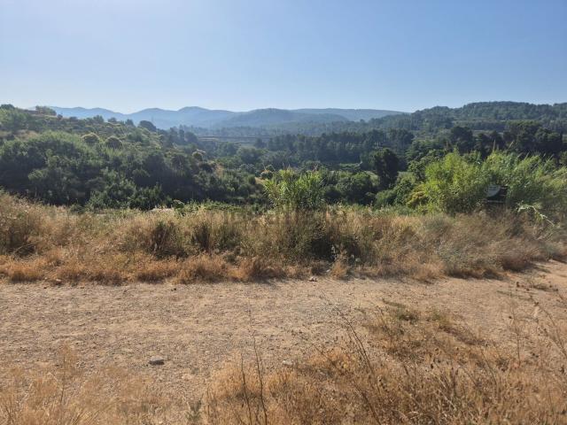 Terreno, Sant Sadurní d&apos Anoia