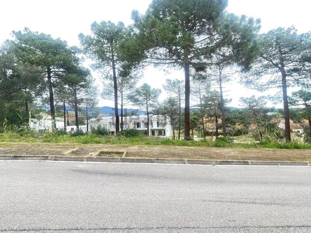Terreno, Sant Pol de Mar