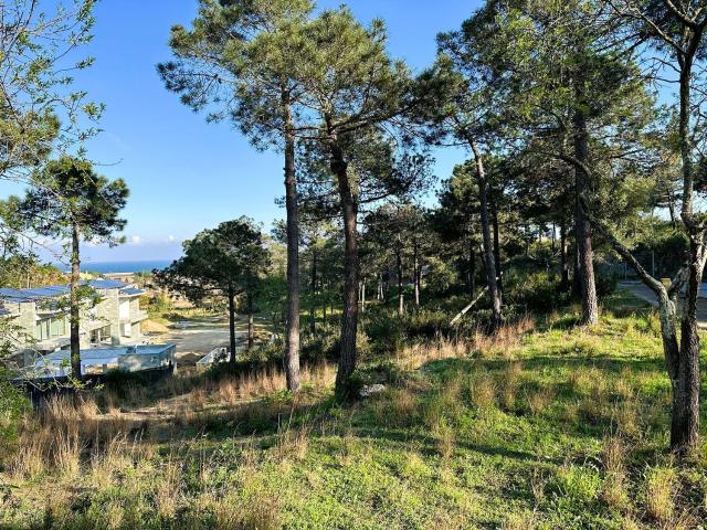Terreno, Sant Pol de Mar