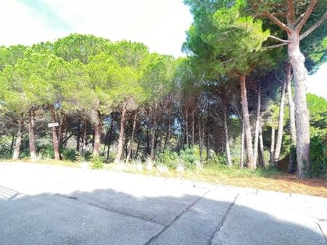 Terreno, Sant Pol de Mar