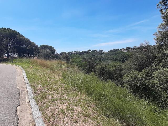 Terreno, Sant Pere de Vilamajor