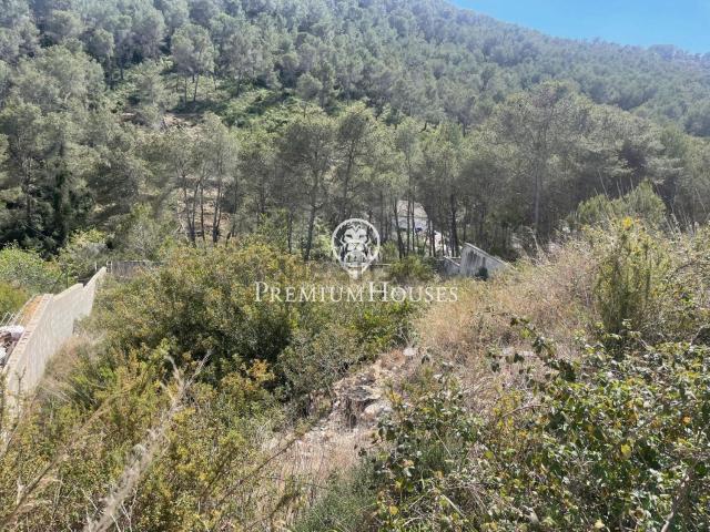 Terreno, Sant Pere de Ribes