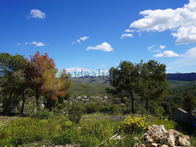 Terreno, Sant Pere de Ribes