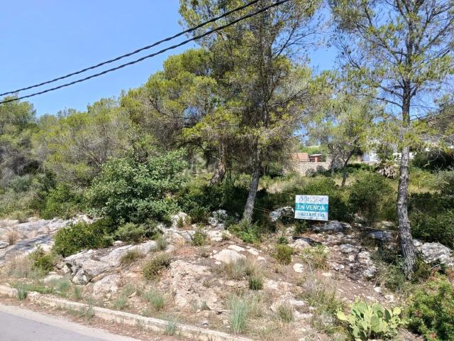 Terreno, Sant Pere de Ribes