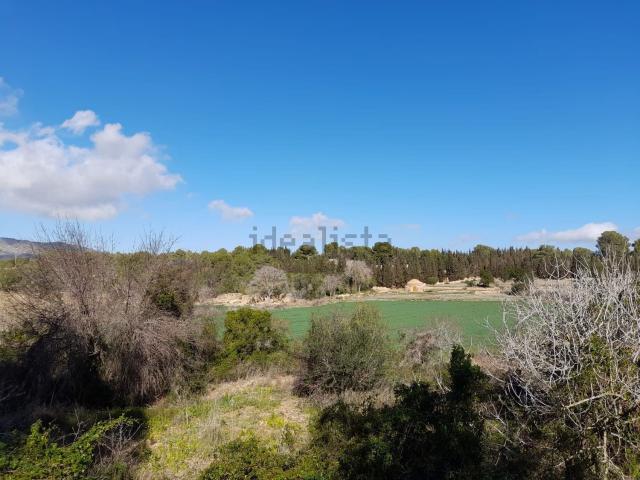 Terreno, Sant Pere de Ribes