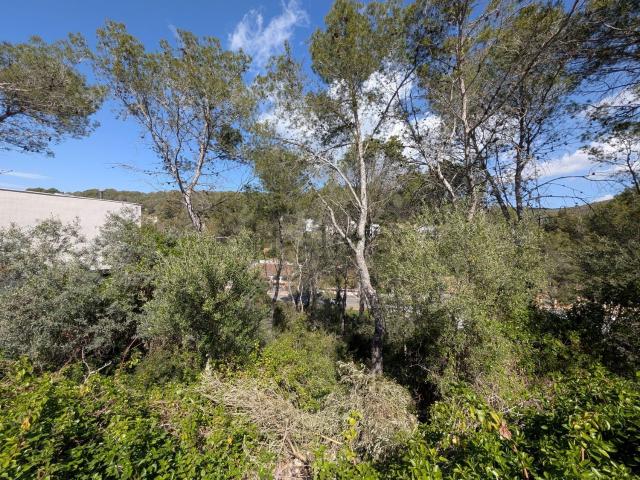 Terreno, Sant Pere de Ribes