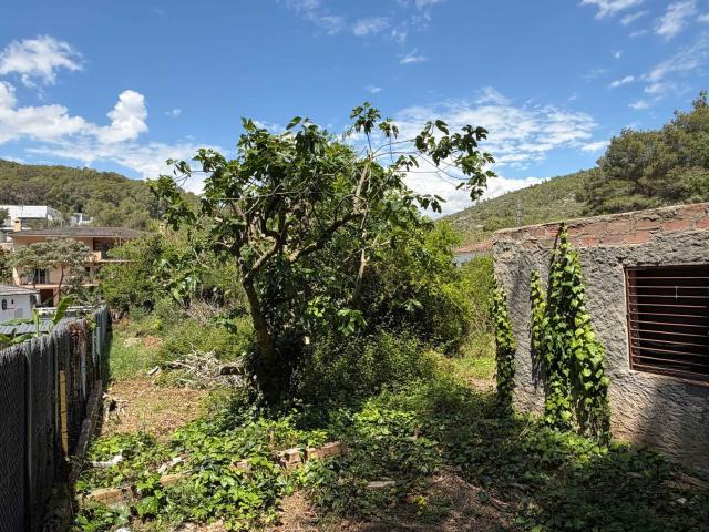 Terreno, Sant Pere de Ribes