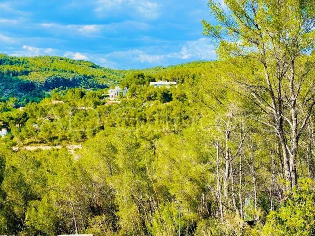 Terreno, Sant Pere de Ribes