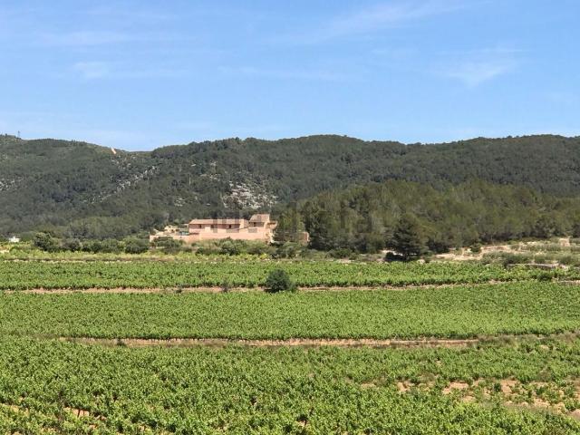 Terreno, Sant Pere de Ribes