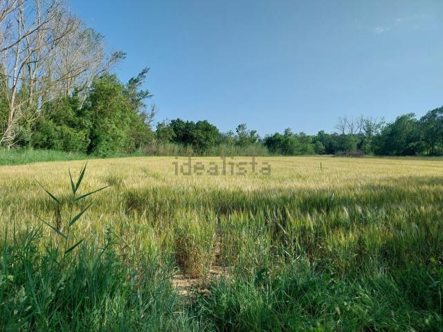 Terreno, Sant Pere Pescador