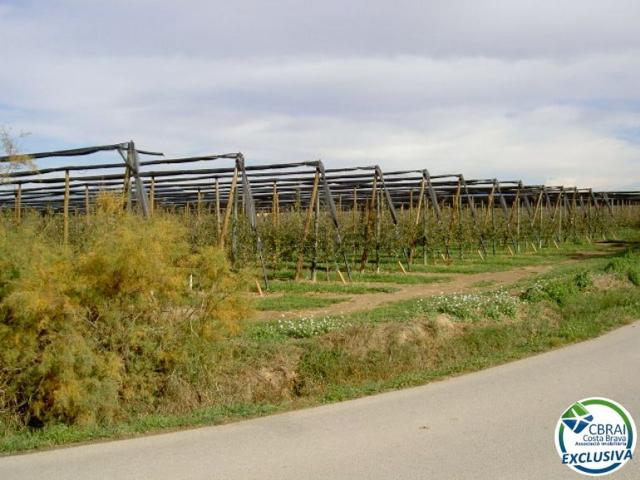 Terreno, Sant Pere Pescador
